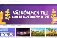 kaiserdk1