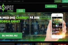 cashpot1